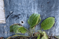 PXL_20230122_094940569.PORTRAIT